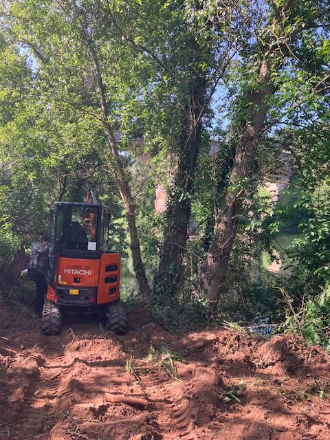 Construction en bois massif Tarn