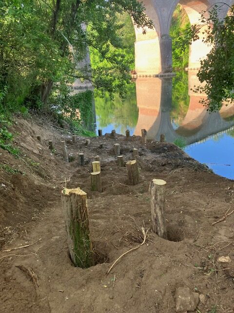 Construction en bois massif Tarn